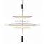European post-modern irregular acrylic pendant lamp for living room
