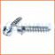 China supplier security screws (anti-theft screws)