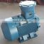 3000RMP explosion proof three phase asynchronous electric motor EXD Standard