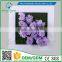 2016 Wholesale3D Искусственные растения, картина для стены, букет, свадебные цветы из шелка