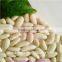 New crop white beans,pulse,peas,long shape