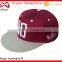 Embroidery logo mesh custom snapbacks panel baseball cap fans gift cap                        
                                                Quality Choice