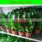 High Quality Display Flower Pot Transporting Tool Trolley