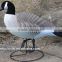 high quality plastic canada hunting goose decoy