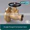 Angle flanged 2.5 fire hydrant landing valve fire hose valve