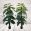 Artificial Pothos Plants On Coconut Pole