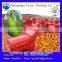 Best selling sweet corn peeler/sweet corn skin peeler/corn skin peeler