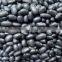 we are supplying all kinds of black beans for sale