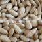 Chinese Sunflower seeds kernels for sale