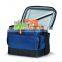 Promotional Frozen Food And Wine Bottle Insulated Cooler Bag with cheap price