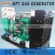 CE certificate 70kw natural gas generator alternator generator