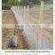 GUANDA anping hexagonal netting factory, chicken fence