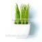 Decorative Artificial Succulent Plant in a White Plastic/ceramic Pot