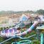 Super Bowl Fiberglass Water Slide for Sale