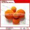 Medium Soft Concrete Pump Cleaning ball /Sponge Ball spare parts for concrete