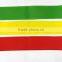 customized Exercise band/resistance stretch loop band