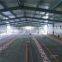 layer modern best price automatic chicken shed poultry farm