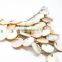 Fashion Lady Shoe Decoration Shell Metal Shoe Chains