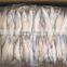 Frozen Lady Fish/Silago Shima/Silver Fish
