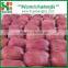 Chinese Red Sweet Tianshui Huaniu apple/apple market price