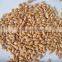 Wholesale free samples reliable quality crispy roasted & salted peanut