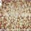 blanched peanut slivered/25/29 41/51 blanched peanut kernel/peanuts red skin