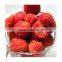 import dried fruit / natural fruit snacks