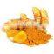 Turmeric Oil