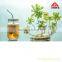 Hot selling 16oz antique glass mason storage jar with screw top lid