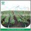 Good Quality Agriculture Drip Irrigation System Using Drip Irrigation Pipe
