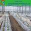 150 mircons greenhouse uv plastic cover,agricultural poly film for produce vegetable and fruit