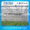 Steel Frame Solar Greenhouse for agriculture