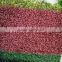 Artificial turf for garden fence decoration