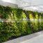 Waterproof excellent green wall factory artificial green plant
