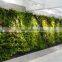 Factory production exhibition wall systems newly vertical green wall