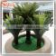 guangzhou supplier wholesale artificial cycas revoluta tree bonsai fake cycas revoluta