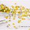 rhinestones,strass,diamond