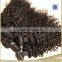 wholesale raw 100% virgin unprocessed indian remy hair deep kinky curly hair