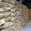 Hot sale high quality Food Grade Xylitol cas 87-99-0 for Sweeteners