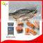 continuous system meat packing machine/vacuum packing machine meat