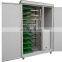 Hydroponic trays,Hydroponic fodder making machine for animal