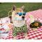 Dog Clothes Leopard Print T-shirt Summer Thin Breathable Pet Shirt Corgi Teddy Schnauzer Pomeranian Clothing