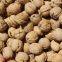 2020 The Best New Crop Liaoxi  Walnut Inshell