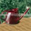 Sustainable French Stylish Rust Proof Garden Portable Unique 1 Liter Glass Watering Can