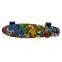 Water Transfer Printing Beautifully Designed Mini Plastic Fish Board Skateboard