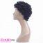 Short Curly Human Hair Wig Factory