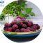 HIGH QUALITY FRESH FROZEN WAXBERRY RED BAYBERRY