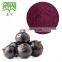 Black Currant Extract Black Currant Fruit Powder
