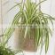 Best Seller Woven Natural Jute & Seagrass Hanging Planters With Lining Straw Planter Storage Basket Plant Holder Wholesale