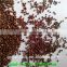 perilla seed price for bird feed(brown color)